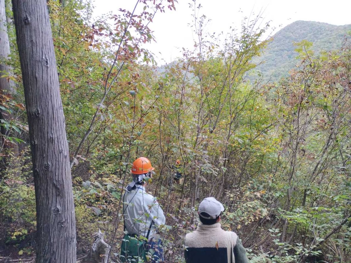 森林調査の現場